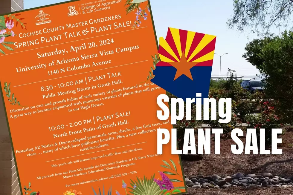 Cochise County Gardener&#8217;s Spring Plant Sale Coming to University of Arizona