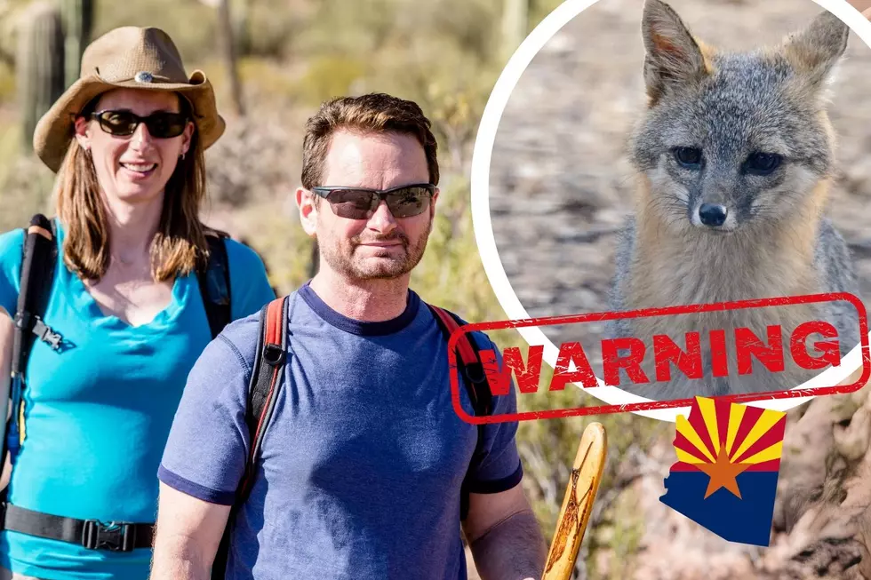 Watch for Rabid Foxes in This Arizona National Park