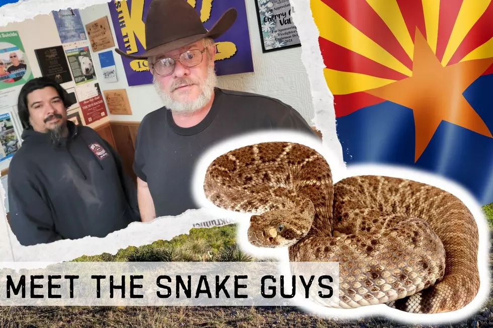 Scaling New Heights: Schumacher and Shaughnessy Arizona’s Snake Whisperers