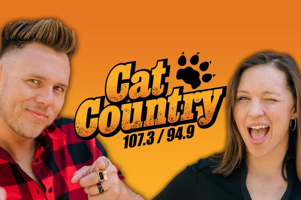 We Are Cat Country!