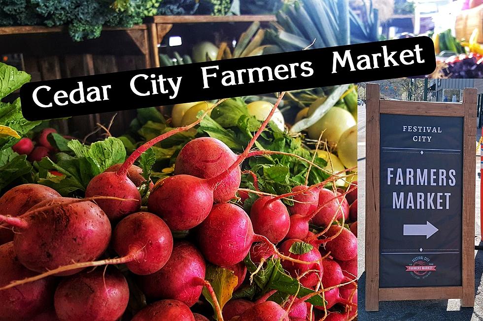 Review: Festival City Farmers Market In Cedar City Is 🔥 (Awesome)