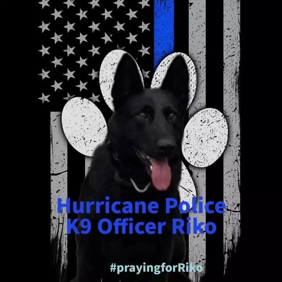 Suspect Dead After Hurricane Police Shooting, PD K-9 in Critical