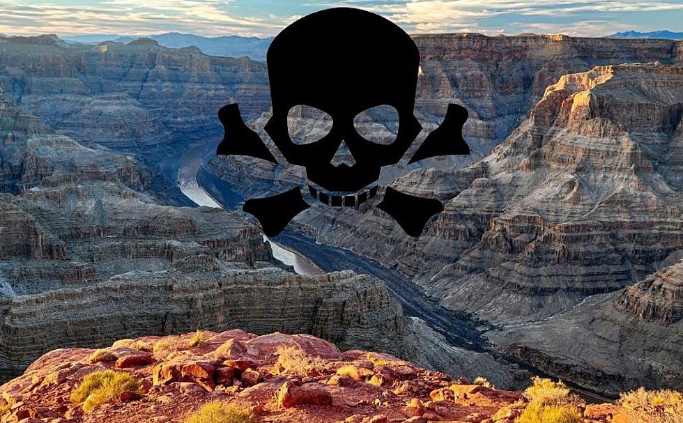 Grand Canyon’s Hidden Horrors: 900 Tragic Stories You Need To Know
