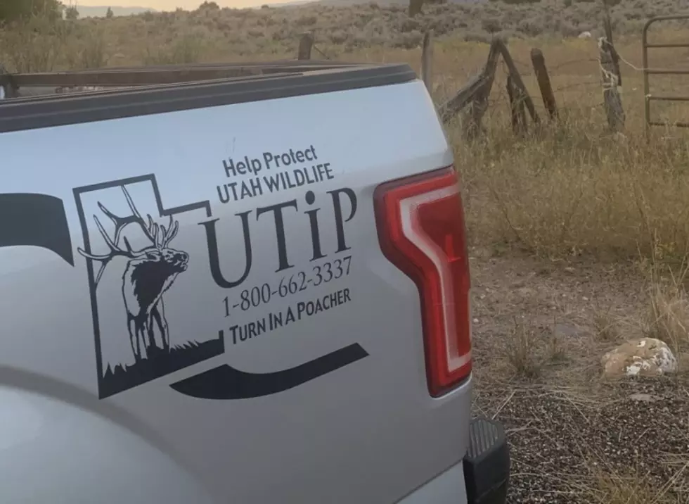 DWR Seeks Info On Utah County Illegal Deer Kill: KSUB News Summary