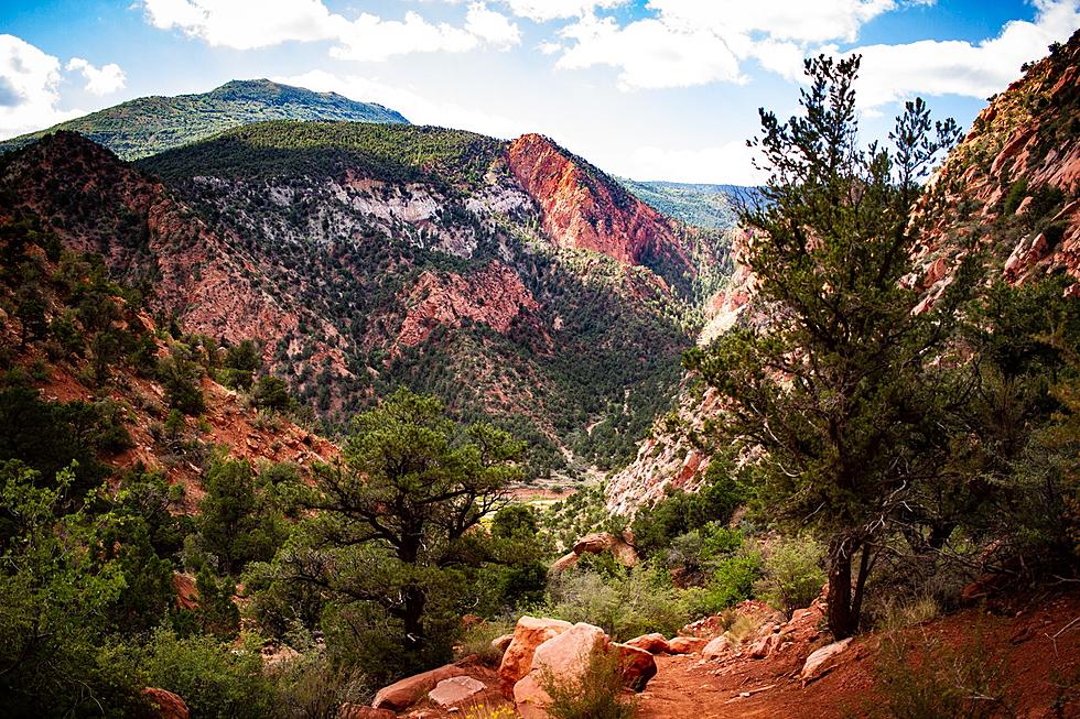 Visitors To Southern Utah Are Saving You Money