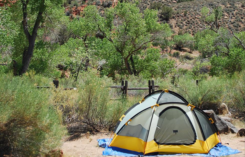 Zion National Park Proposing Fee Increases For Camping