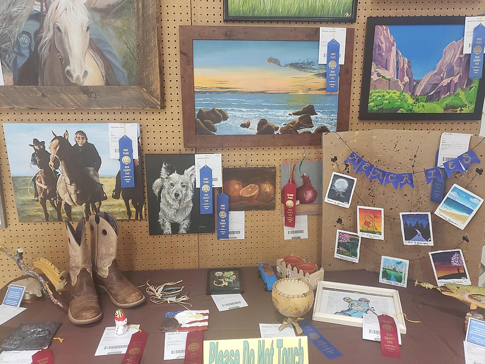 Iron County Shows Off Its Best At The Iron County Fair