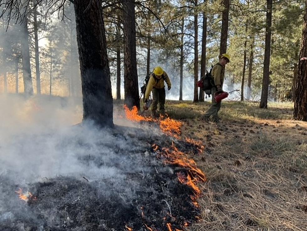 Reducing Wildfire Risk: Prescribed Burning At The Grand Canyon