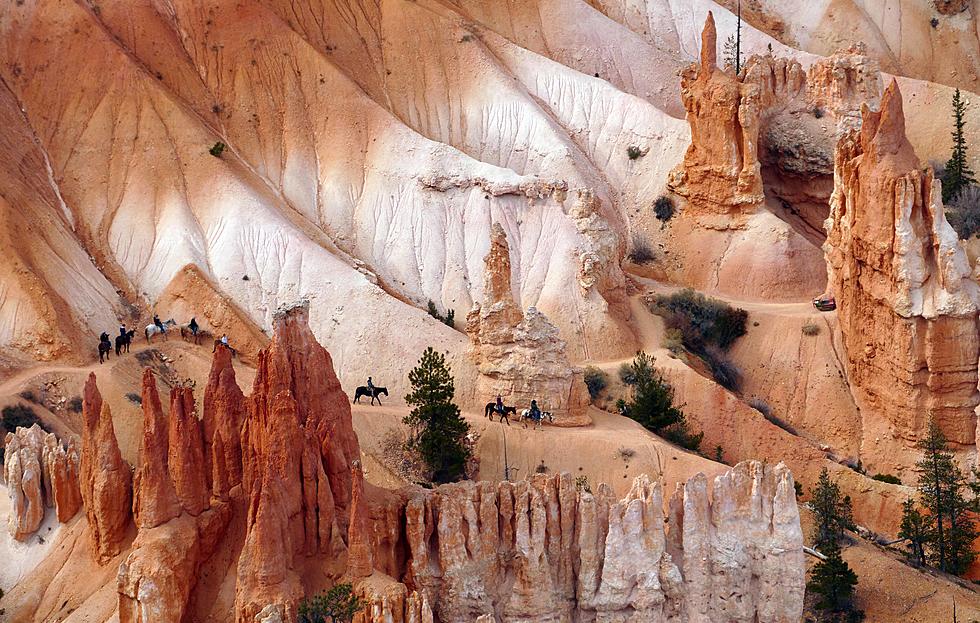 Bryce Canyon National Park Proposes Online System For Private Stock Riders
