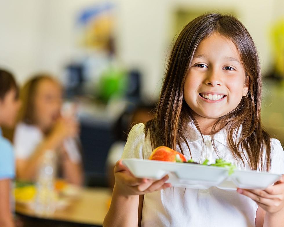 Enhancing Academic Success: Insights From Iron County School Nutrition Experts