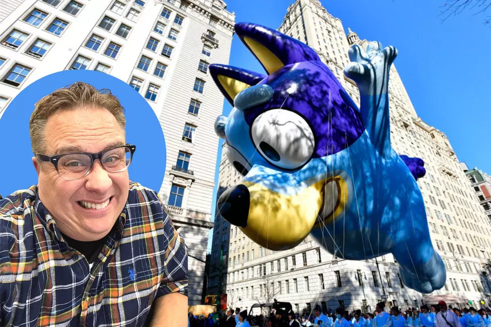 Dear Bluey- I'm Sorry I Was Wrong About You