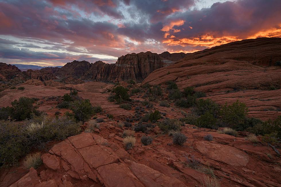 Exploring The Breathtaking Landscapes Of Red Cliffs Desert Reserv