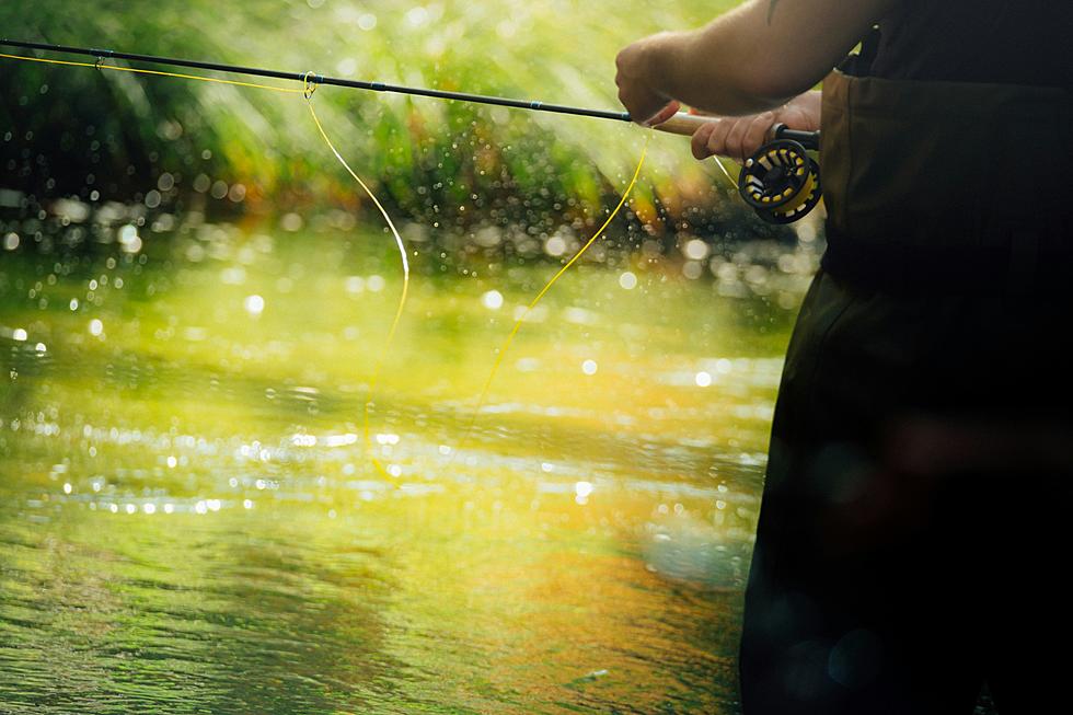 Top Fishing Locations In Utah: Reservoirs, Ponds, Streams, And Rivers
