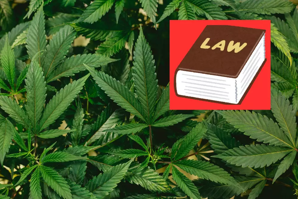 Everything You Need To Know About Utah&#8217;s Cannabis Laws: Legal Issues