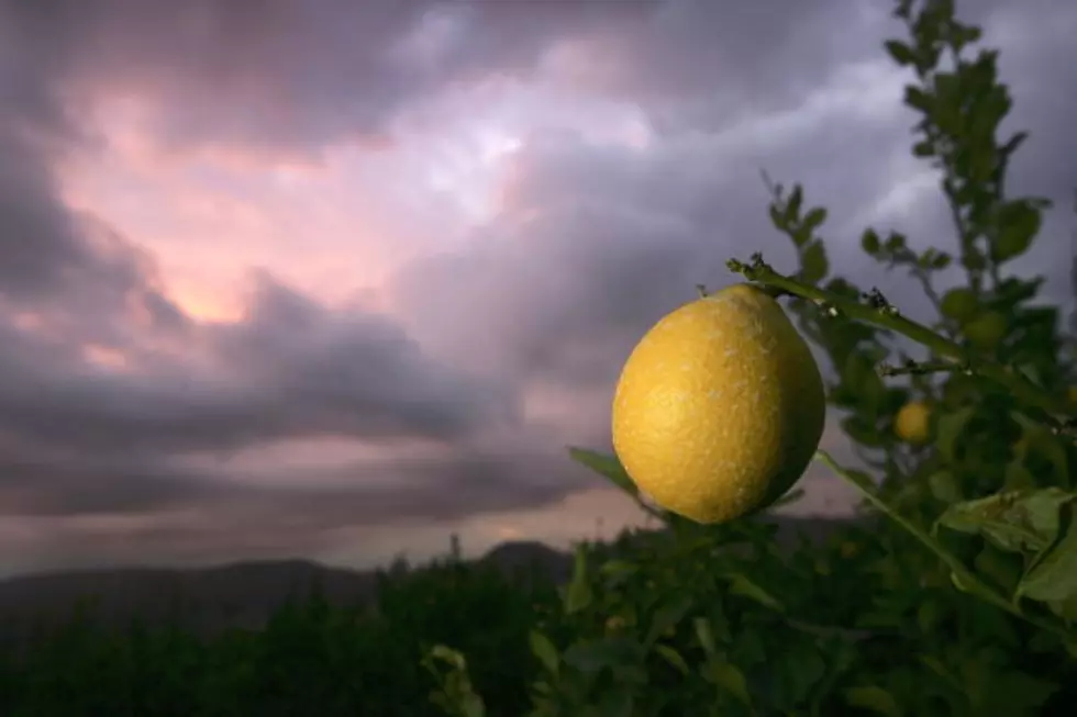 CITRUS SMELL GETS PEOPLE CLEANING