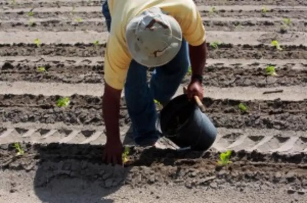 New Report Released Shows Need For Farmworker Housing