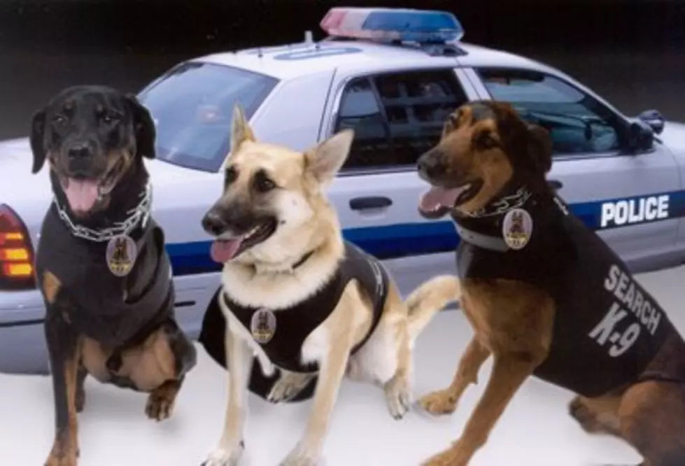 Yakima Woman Wants Your Help To Keep Police Dogs On The Job