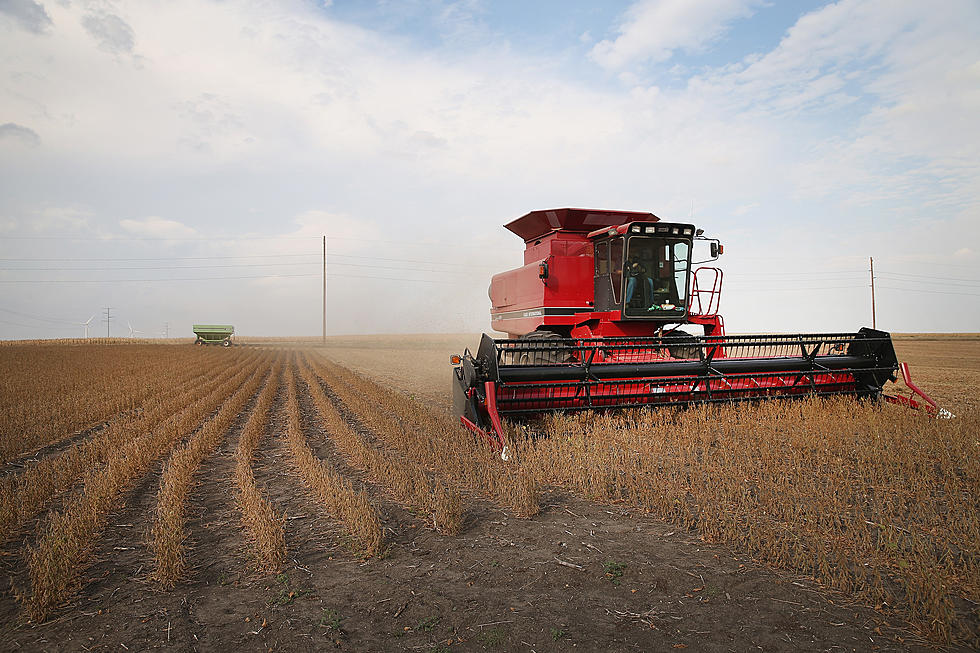 China Still Holding Up Wheat Imports, USDA Offering Marketing Help