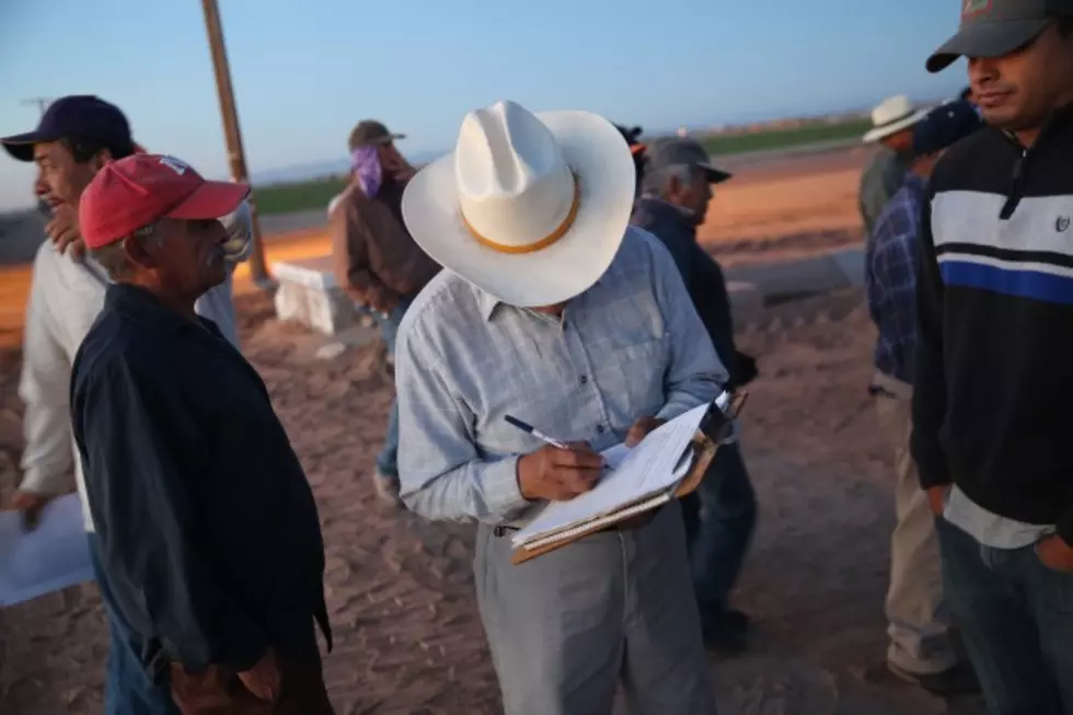 Immigration Action Creating Farmworker Shortage