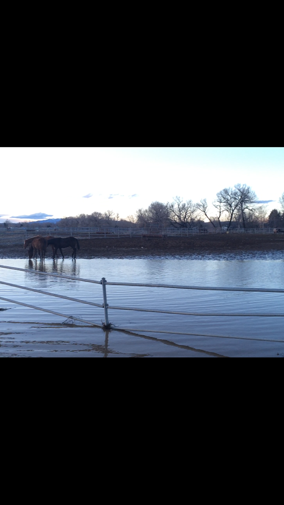 Weekend Rain Raises Flood Danger Around Yakima County [VIDEO, PHOTOS]