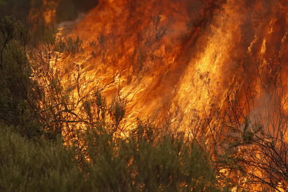 Officials Warn Against Outdoor Burning Amid Wildfire Threat