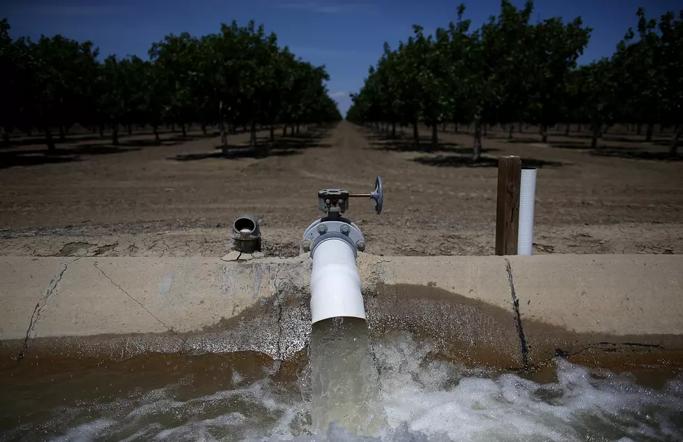 Ag News: BBB for California Water Projects & Nat’l Ag Day
