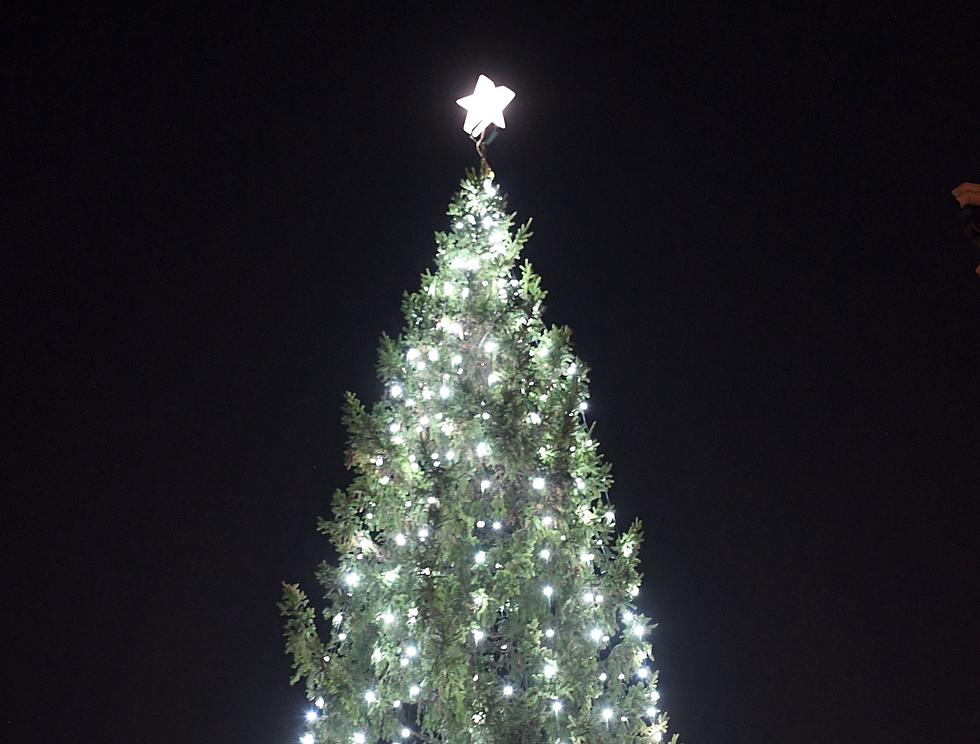 Yakima’s Community Christmas Tree Arrives Monday