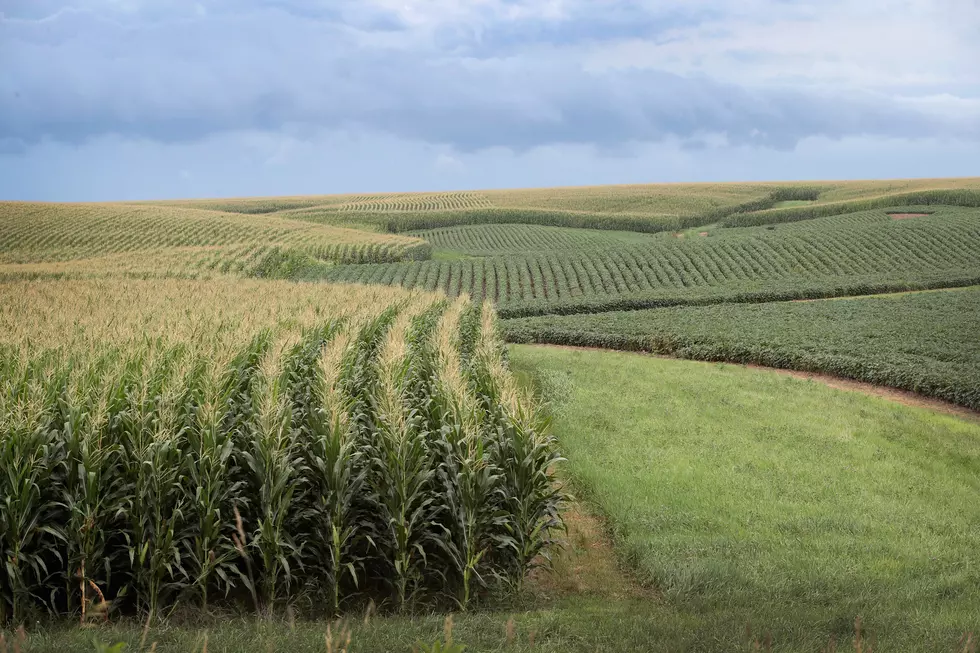 Ag News: China Makes Huge U.S. Corn Purchase