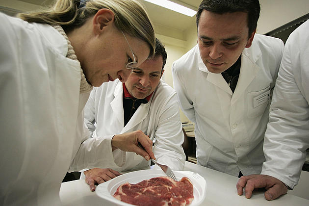 Ag News: Meat-Poultry with Cultured Cells- NFU Wants Farmers Heard