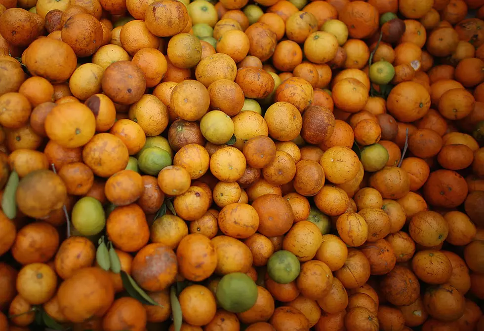 Ag News: Citrus Greening Quarantine