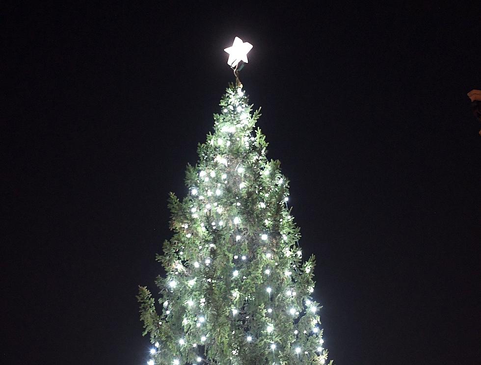 Community Christmas Tree Arrives Tuesday In Yakima