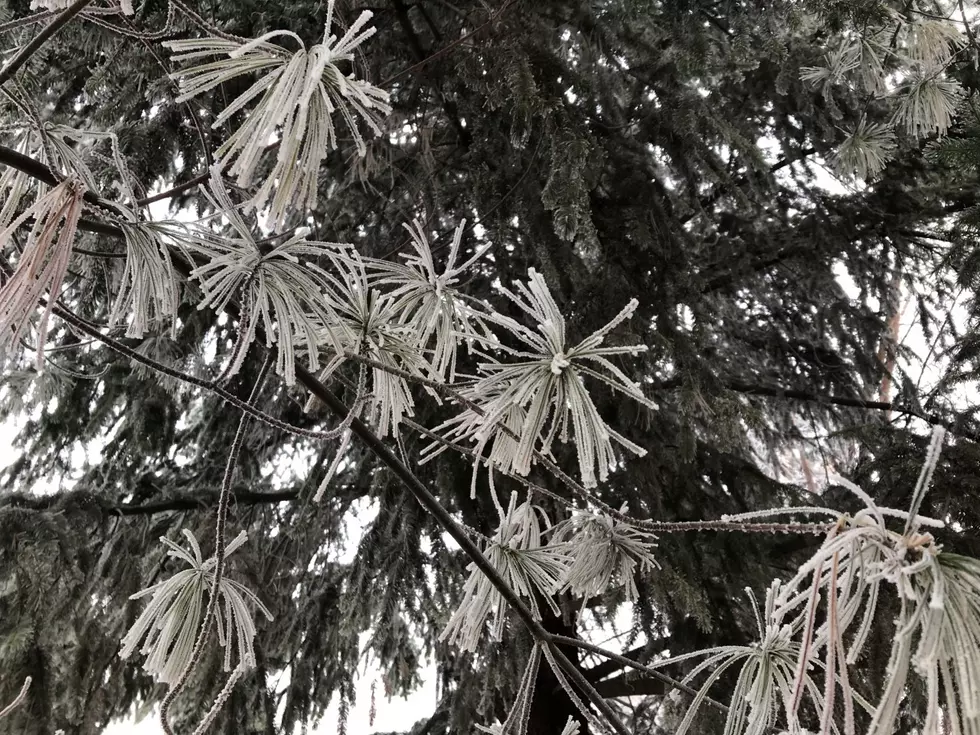 The Icy Debate Rages: Hoar Frost or Rime Ice? [POLL]