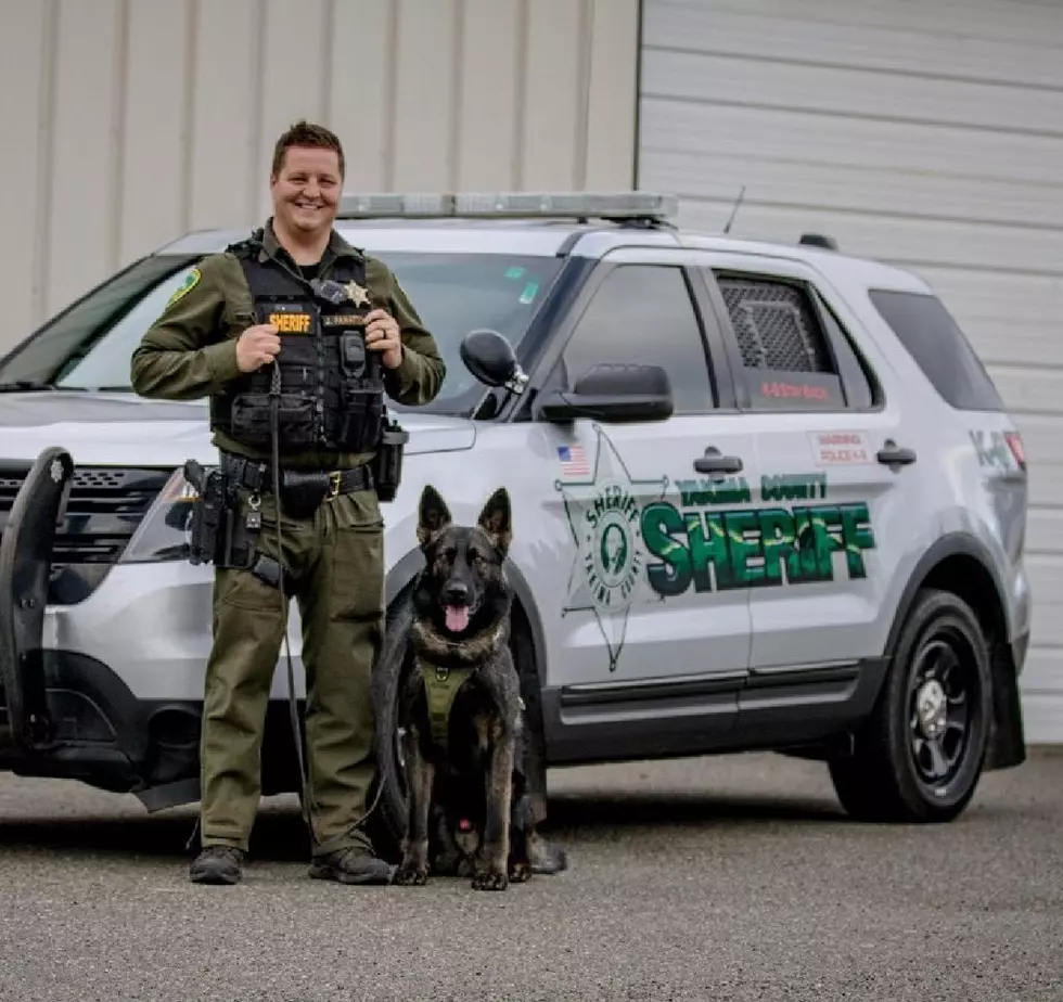 Special K9 Training Happening In Yakima This Week 