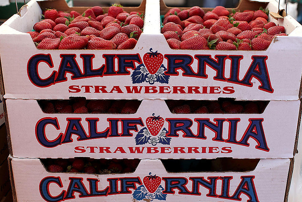 Ag News: California Strawberry Acreage and USTR Tai Talks with EU