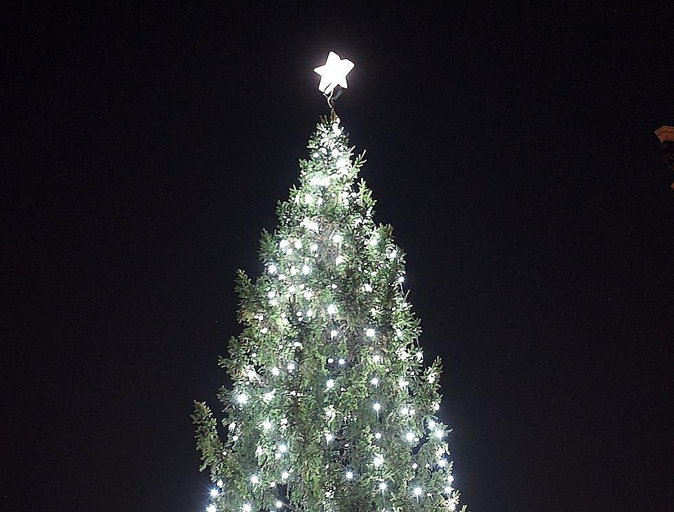 Community Christmas Tree Arrives Thursday