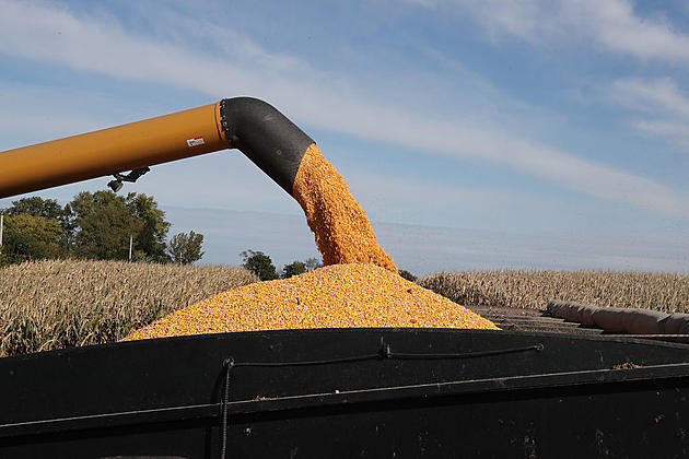 Ag News: China&#8217;s Record Corn Crop and Pressurized Irrigation Grows