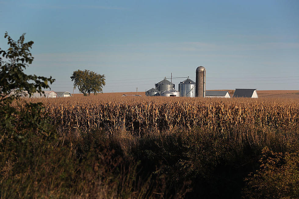 Ag News; Farm Numbers on Slow Decline and NPPC on Prop 12