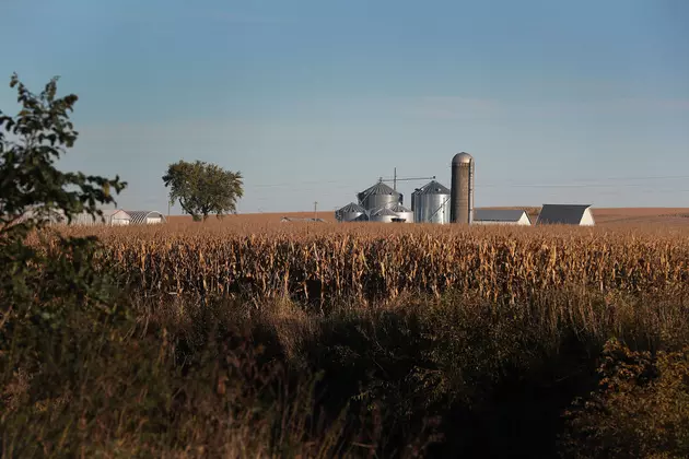 Ag News; Farm Numbers on Slow Decline and NPPC on Prop 12