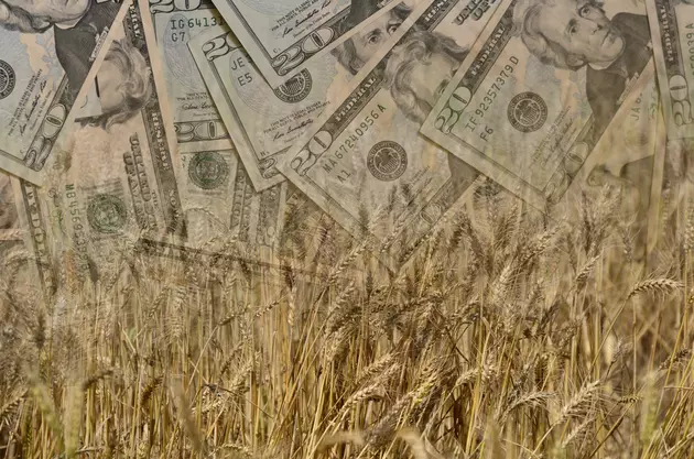 Ag News: Farmer&#8217;s Share of Food Dollar and Dairies and CN. Tariff Rates
