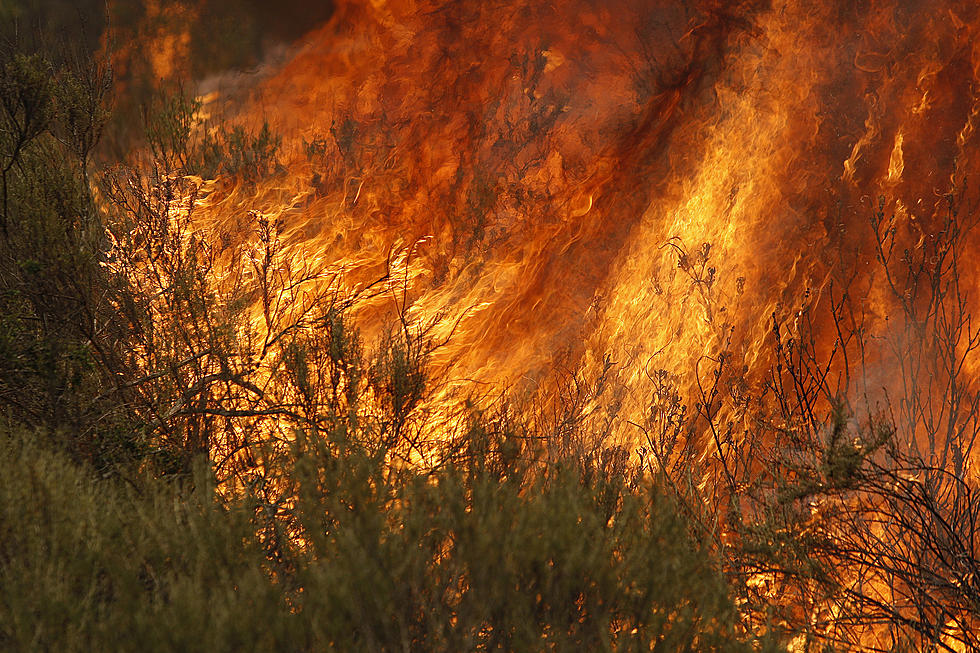 State Warns of Drought and Fire Problems This Summer