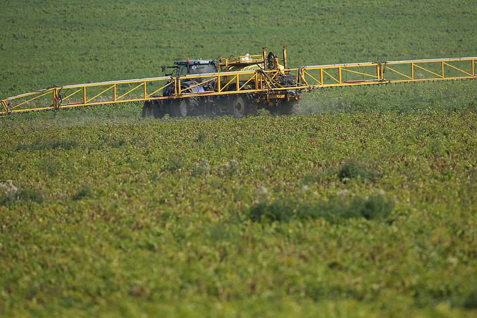 Farm Groups Support Glyphosate Use and President “Has Ag’s Back”