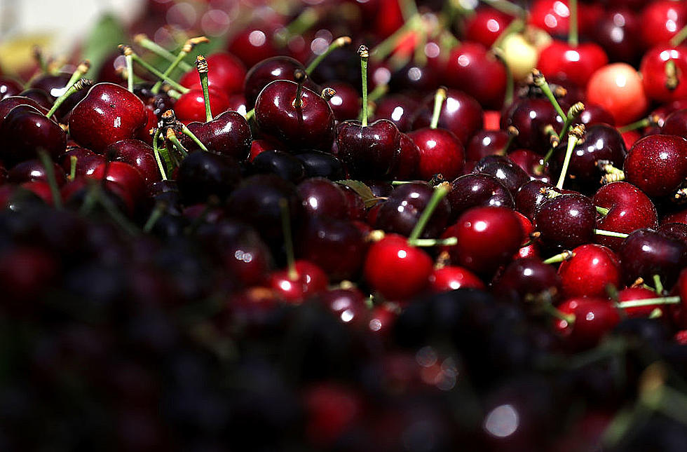 Wine Grapes Good But Growers Concerned About Cherries