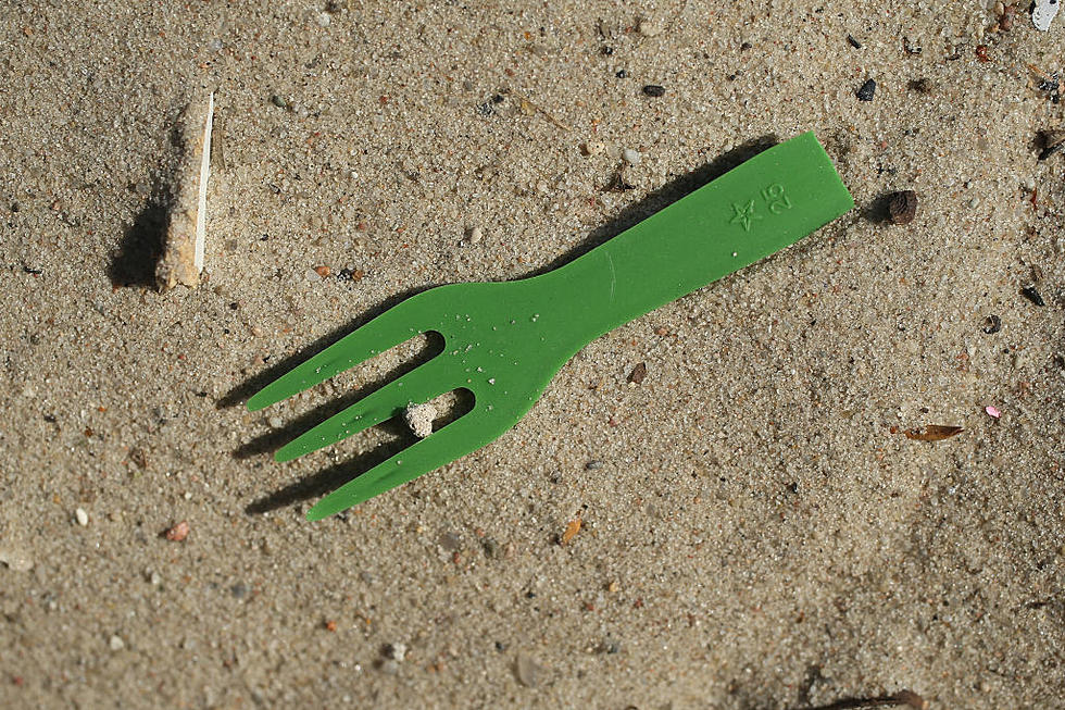 New Year, New Laws In Washington - Buddy Can You Spare A Spork?