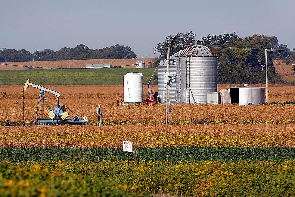 U.S. Farm Expenditures and Survey Says Farm Bill Unlikely