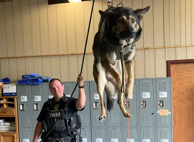 Yakima&#8217;s K9 Officers Get Big Boost To Find Bad Guys