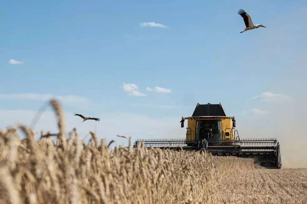 California Rainstorms Paying Off and Ukraine Grain Exports Rebound