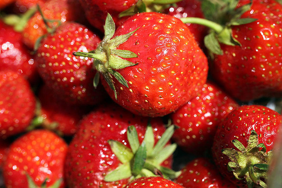 5 New Disease-Resistant Strawberries & NCBA Opposition to PRIME Act