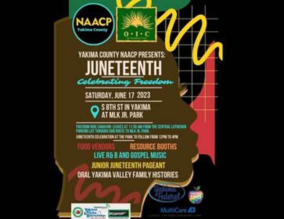 Juneteenth Freedom Ride Caravan and Barbecue in the Park