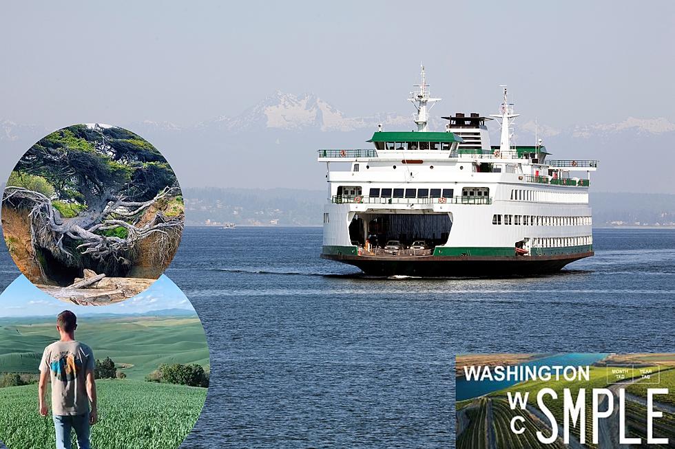 Take a Look at These Cool 5 Hidden Gem Places in Washington State