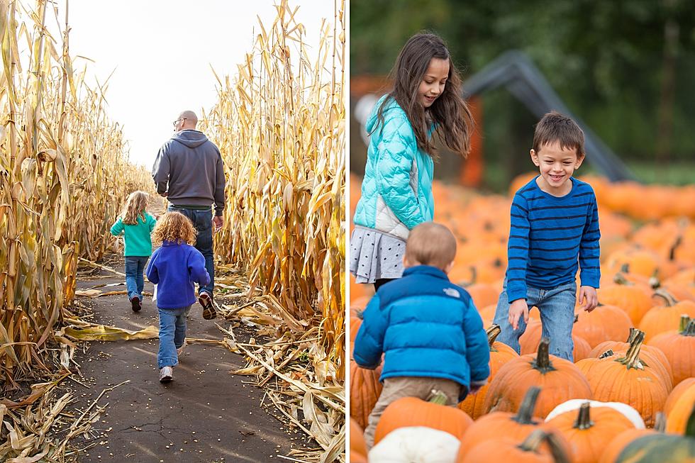 6 Corn Mazes and Pumpkin Patches to Visit in Central WA